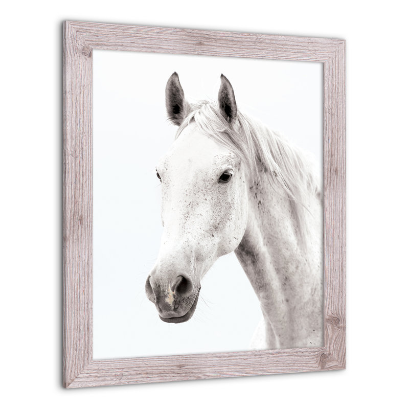 «White Horse», reproduction encadrée, Blanc, H 24 po x l 20 po x P 0,75 po