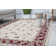 Arliz Oriental Indoor Rug