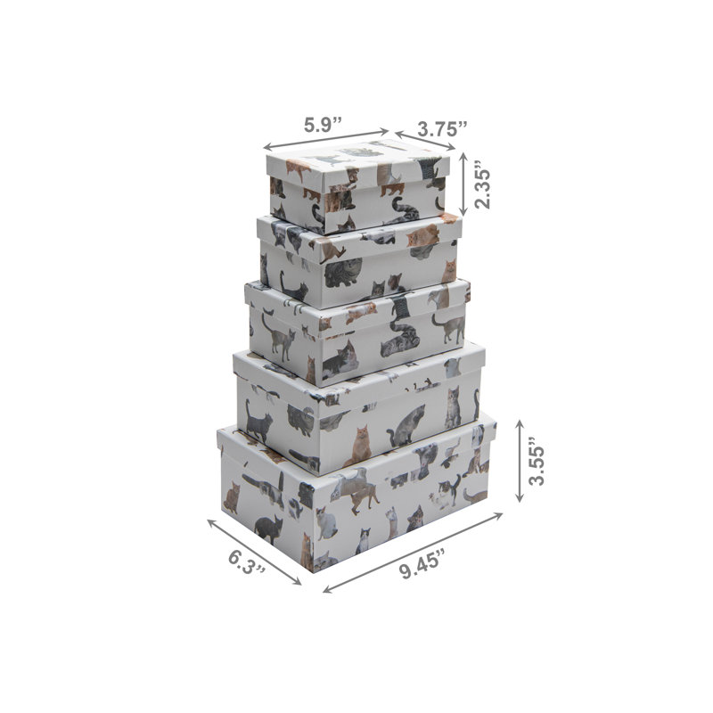 Haight S / 5 Rect. Collage de nichoirs pour chat