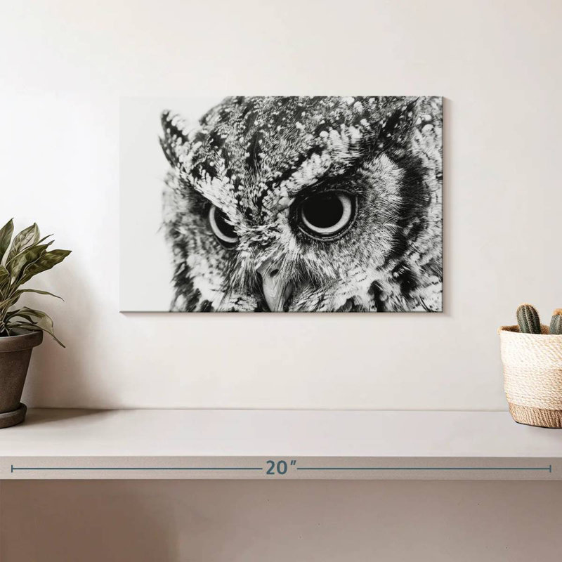 Hibou Brampt, H 8 po x l 12 po