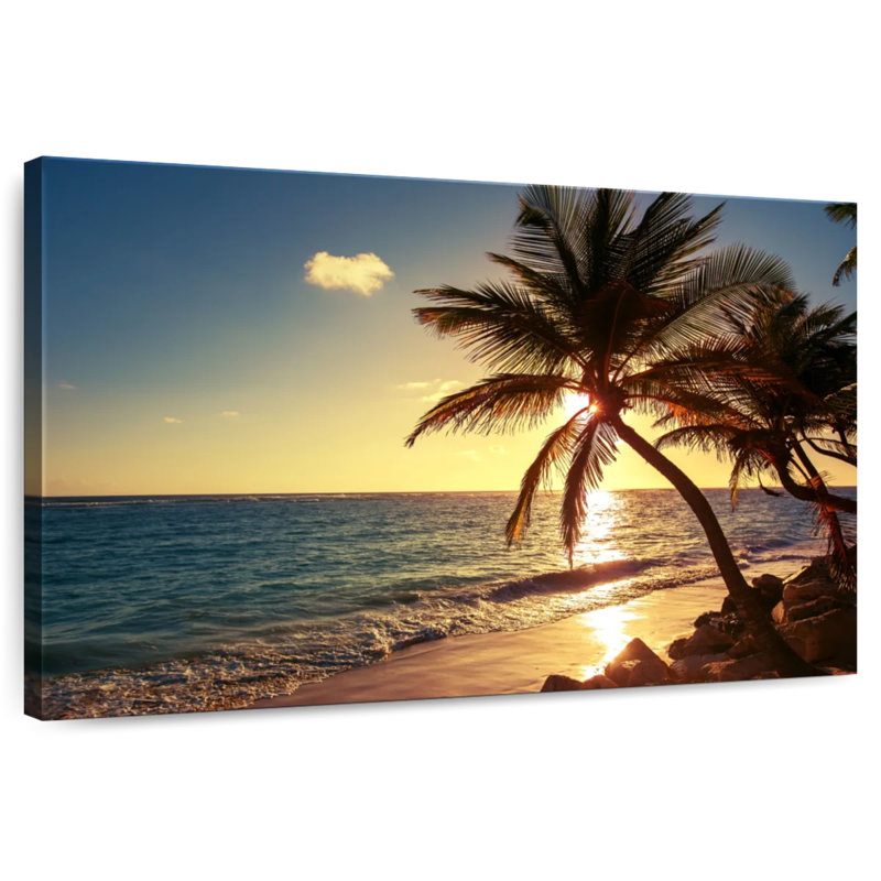 Tropical Gillard Daylight