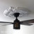 Traditional Traditional Thermoformed PVC Ceiling Medallion-88027955-88027983