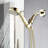 5 Spray Mode Handheld Shower - Polished Golden, Good Impact Resistance, Adjustable Water Flow, Wall Mounted, Includes Hose And Arm-121320234