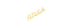 Logo FITULA