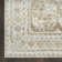 Leuchte Ivory Taupe Vintage Indoor Rug
