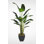 Faux Bird Paradise Tree in Metal Pot