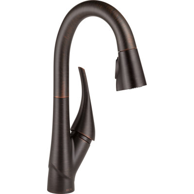 Esque Pull Down Single Handle Kitchen Faucet