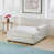 Velours côtelé beige sélectionné