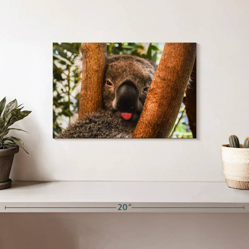 Brampt Funny Koala, 8" H x 12" W