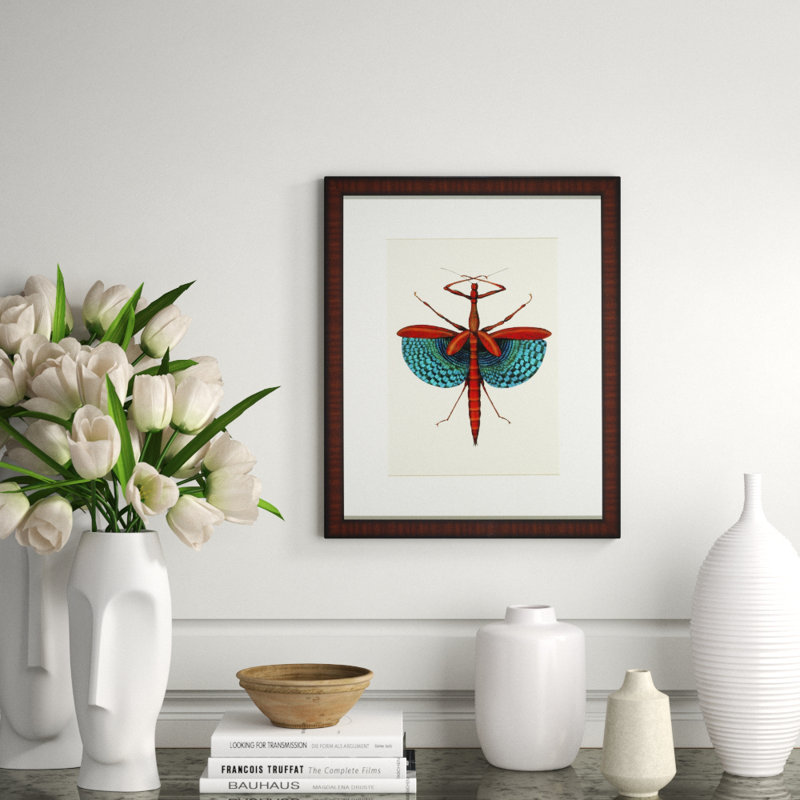 Tropical Insect III Print
