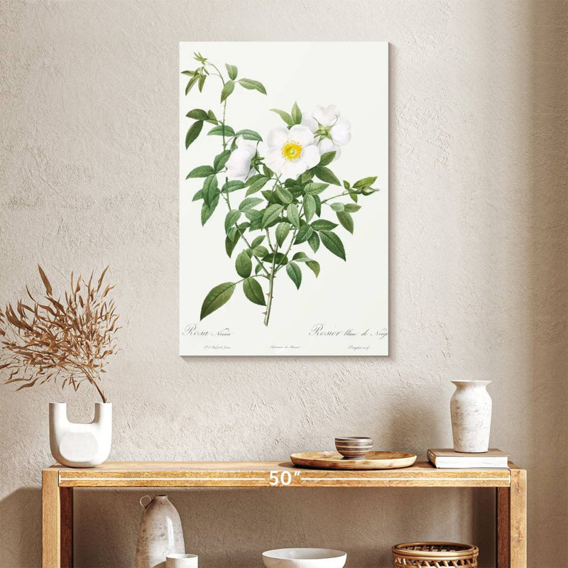 Harnek Rosa Nivea, 36" H x 24" W