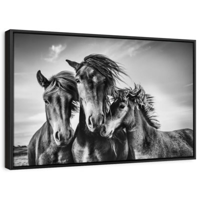 " Lemvig Horses "