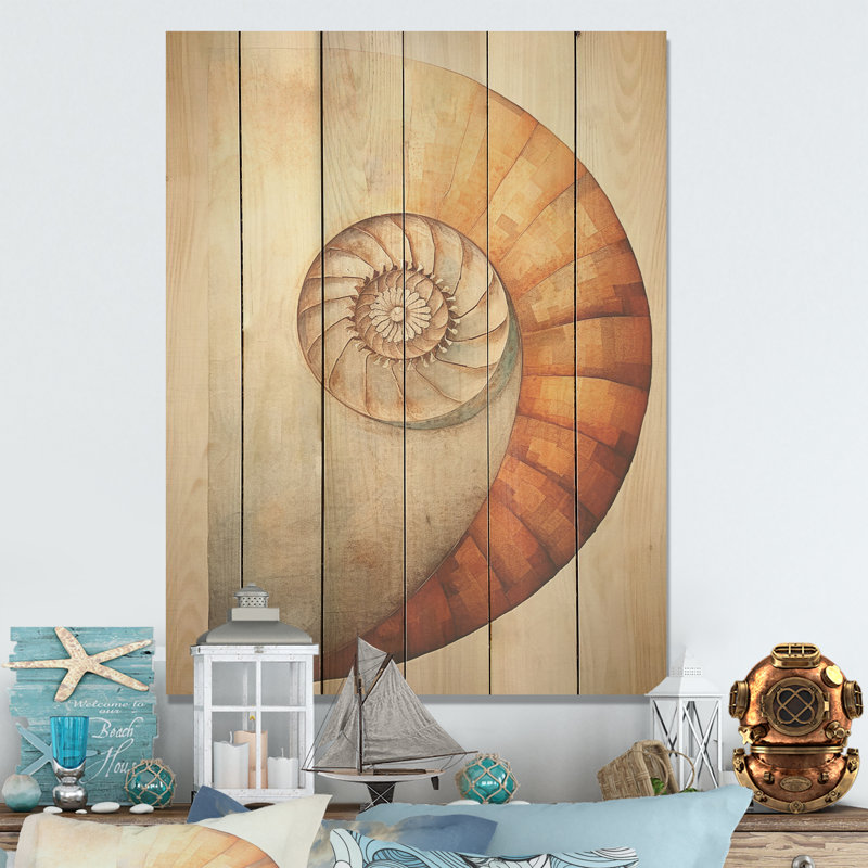 Cuivre cuivré spirales Nautilus - Nautilus, art sur bois de pin naturel, H 20 po x l 10 po
