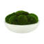 5" Artificial Moss Plant in Planter-729850857