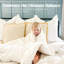 Insertion de couette en duvet synthétique toutes saisons Hotel 100% coton-582197840