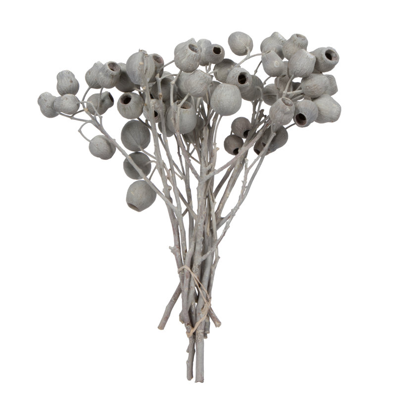 Branche de gencive 11 po x 4 po Primrue Natural Botanicals, 5 à 7 clochettes, ivoire givré, 10 tiges par unité