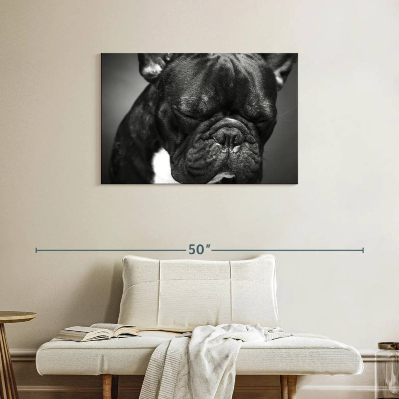 Bouledogue français mélancolique Brampt, H 24 po x l 36 po
