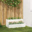 Planter Box-243940818
