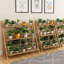 Briya Plant Stand-1824144060