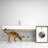 Tall Clear Elevated Feeder with Bowls-1751937875-1763116309