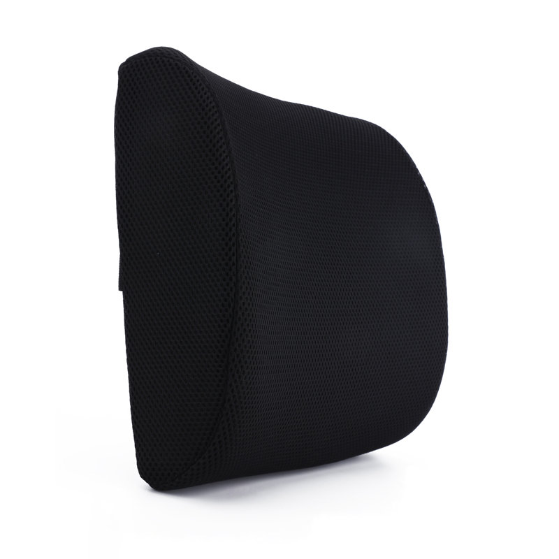 ProHT Back Support