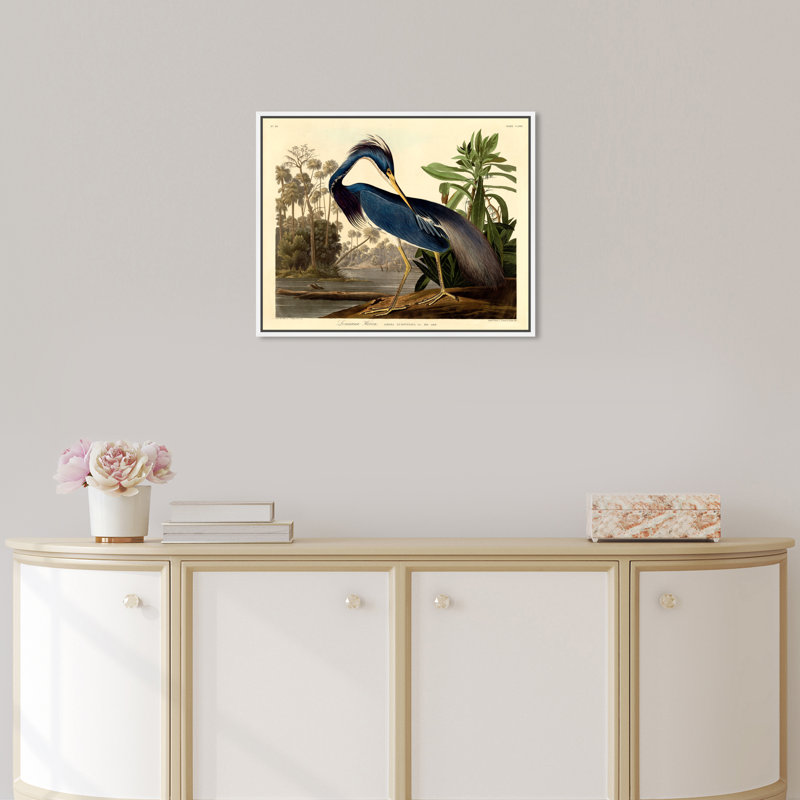 Louisiane héron - Impression sur toile, H 36 po x l 45 po, Toile encadrée, Blanc