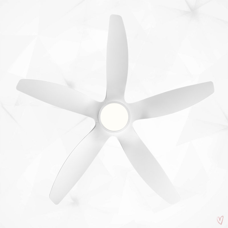 Dainius 60'' Ceiling Fan with LED Lights, White