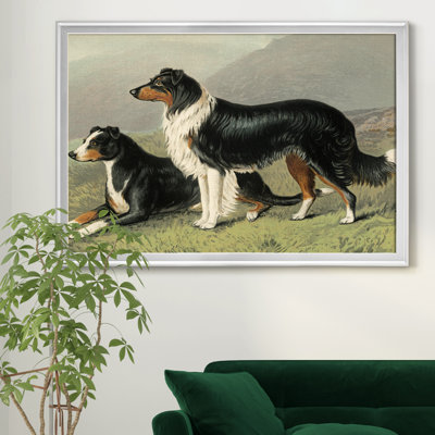 " Sheep Dogs " Painting Print