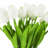 Tulip Arrangement in Vase-1660080176