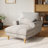 Upholstered Chaise Lounge With Adjustable Backrest