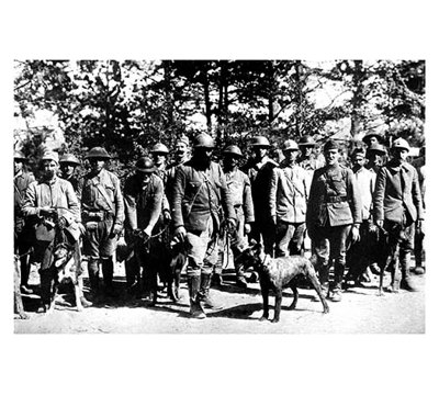The Dogs of War Photographic Print