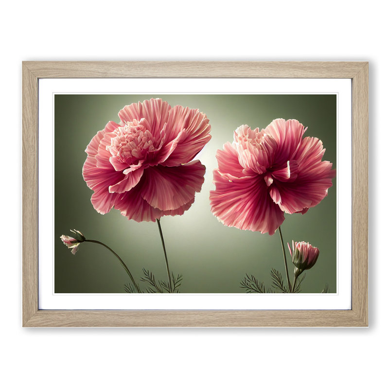 Exceptional Carnation Flowers - Single Picture Frame Print, 25cm H x 34cm W x 2cm D, Oak