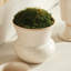 Delaney Stoneware Planter-1087014415-1086663533