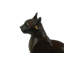 DC Bronze Egyptian Cat