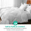 Édredon en duvet de plumes blanc-113387143