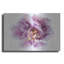Purple Double Open by Elise Catterall - Unframed Print on Metal-1751773570