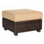 Montecito Outdoor Ottoman-1497513653