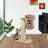 Candiss Scratching Post