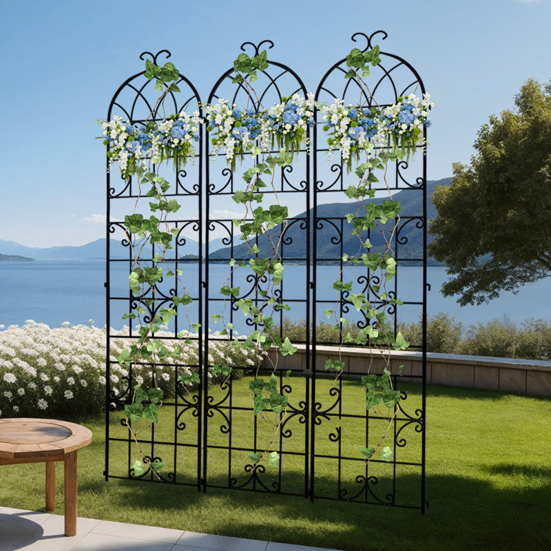 220cm H x 148cm W Iron Arched Trellis