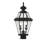 Arelene Lantern Head-58260392