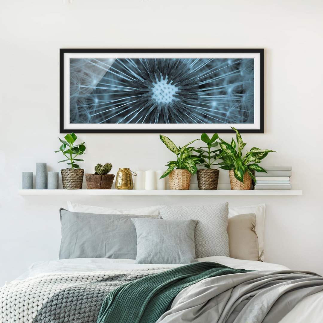 Gerahmtes Poster Blue Tinted Dandelion