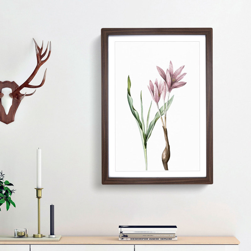 Pink Autumn Crocus Flowers by Pierre-Joseph Redoute - Picture Frame Painting Print, 65cm H x 48cm W x 2cm D, Walnut Framed