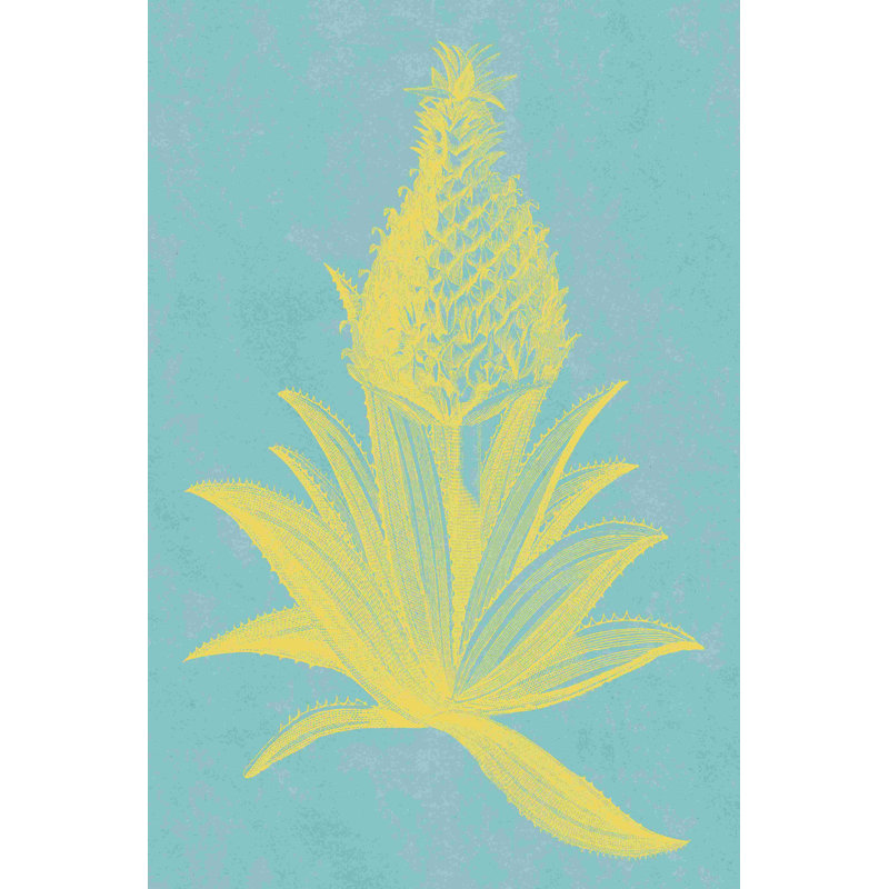 Ananas frais I, H 18 po x l 12 po