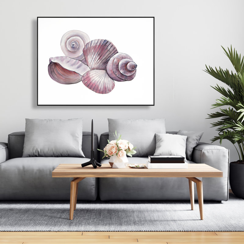 Coquillages de bord de mer
