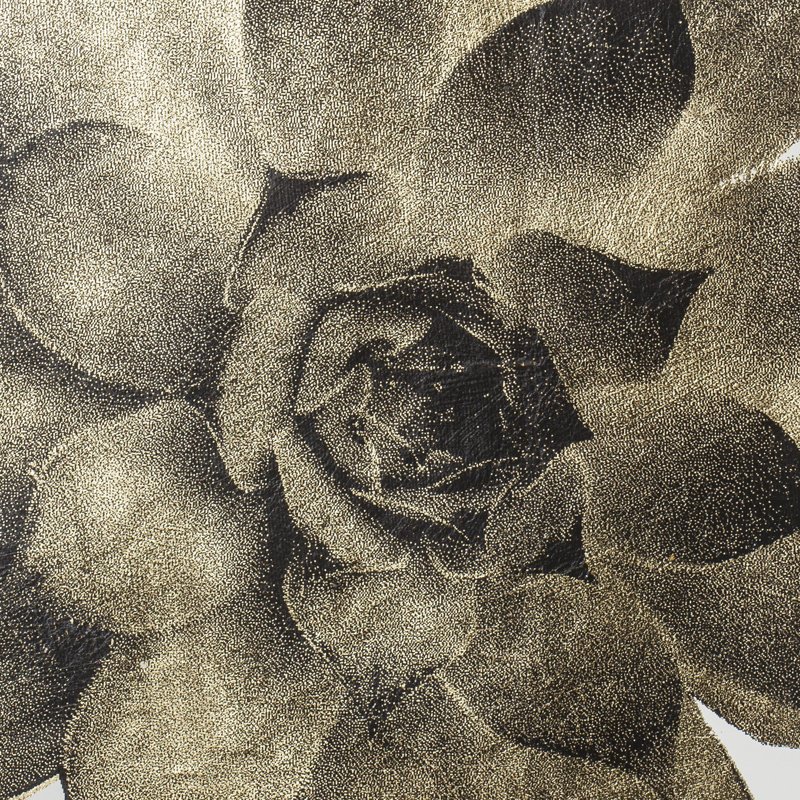Gold Succulent C Print