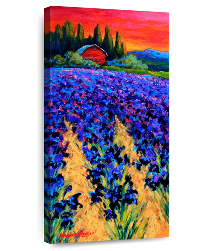 Iris Farm