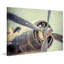 Ryan Hartson-Weddle - Wrapped Canvas Print-20254517