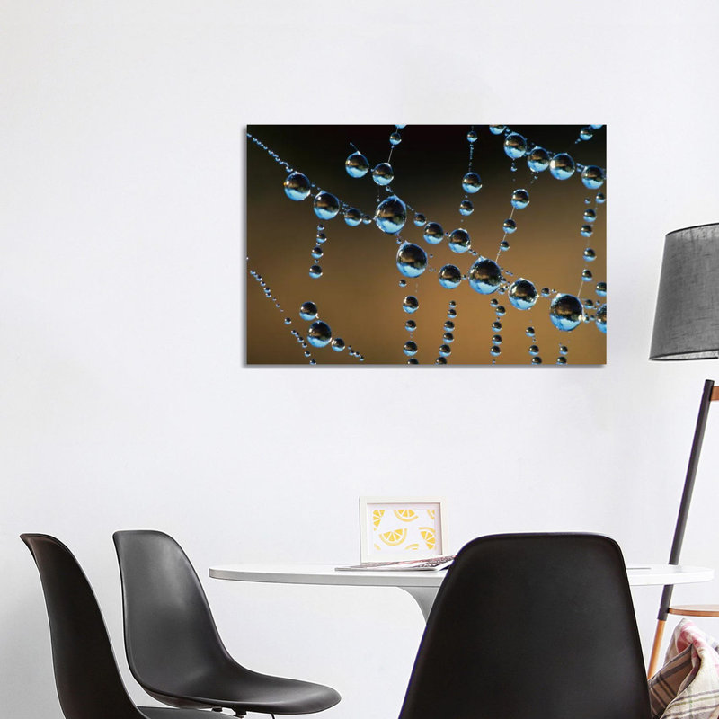 Raindrops On A Spider Web, New Zealand by Andy Reisinger - Wrapped Canvas Print, 101.6 cm H x 66.04 cm W