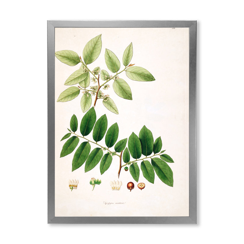 "Vintage Botanicals" - Peinture sur toile, H 32 po x l 16 po x P 1 po, Cadre photo argenté