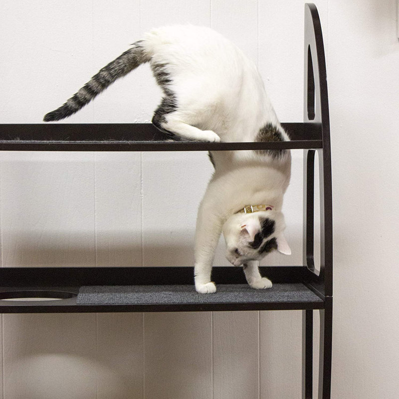 Arbre à chat 47 po Bunnell Jungle Gym